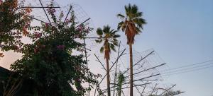 Departamento tipo mediterraneo