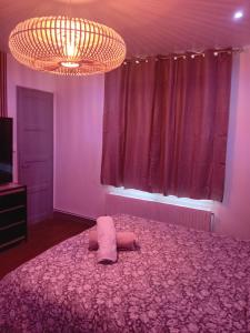 T2 cosy plénitude h24 wifi parking privé Netflix