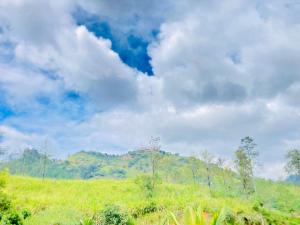 Ella Koyals Venus Gate Villa