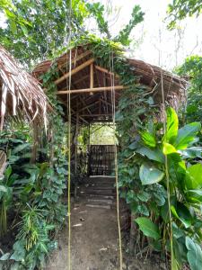 Calamansi Garden - Full House Rental