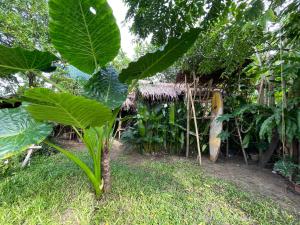 Calamansi Garden - Full House Rental