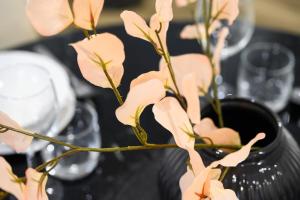 Modern 3-Bedroom Apartment Near Airport & Train