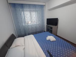 Apartament Rovine