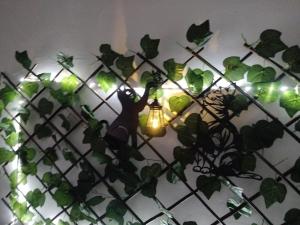 Il covo del gattonero