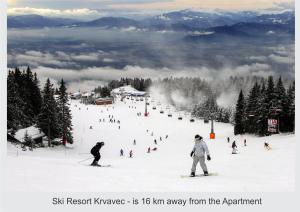 COMFY and BRIGHT Apartment