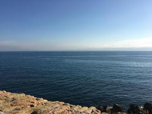 Cap Antibes Les Bosquets