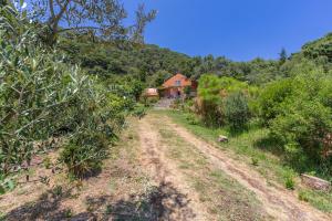 Casa Pájaro Colores in Bolonia