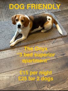 Swish Luxury Holiday Apartments 2