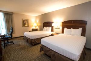 Double Room with Two Double Beds room in Greenstay Hotel & Suites Central