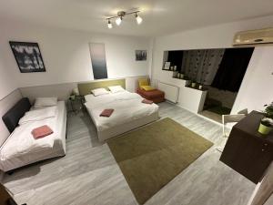 New Green Apartment Studio 1