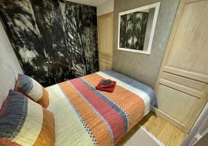 T2 de Charme Entièrement Rénové - Centre Ville