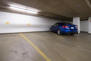 Cozy 1 Bedroom Downtown Central