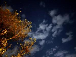 Luxsugero Mountain View Premium Cottage