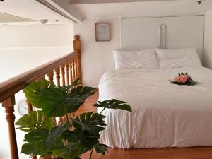 Serenas cozy loft Apartment