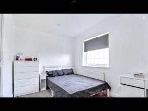 Modern 4 bed house in historic town