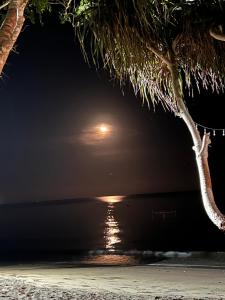 Mae South Beach Brookes Point Palawan