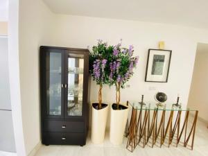 Sea view Penthouse Elysia park