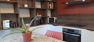 LE BALCON DES NEIGES - Centre - Vue montagnes