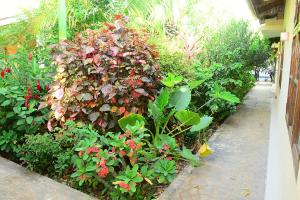 Mbirimbi Airport Malazi