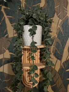 Wohnen im Musikerviertel-Apartment Sun -