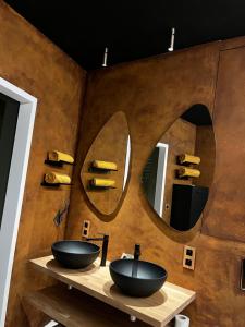 Séneçon des bois 08