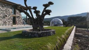 Isıtmalı Jakuzi 6000m2 içerisinde özel taş villa