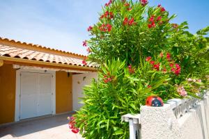 Villages vacances HOLIDAYLAND BAIE DES OLIVIERS VILLA 36m2 1chambre fermee 6 couchages ou VILLA 41M2 2chambres fermees 7 couchages : photos des chambres