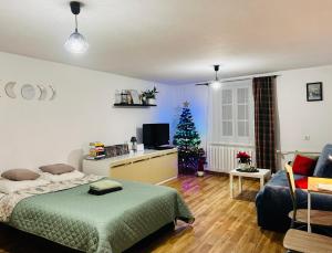 Duży apartament z kuchnią i łazienką w centrum Namysłowa