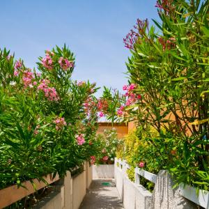 Villages vacances HOLIDAYLAND BAIE DES OLIVIERS VILLA 36m2 1chambre fermee 6 couchages ou VILLA 41M2 2chambres fermees 7 couchages : photos des chambres