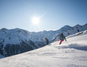 Ski In Out chalet for 10 people with breathtaking view
