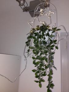 Fewo Erdgeschoss Ankerplatz mit Sauna direkt am Brombachsee bei Juliane und Klaus