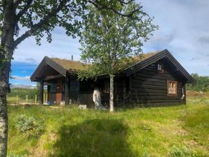 Traditional Log Cabin At Reineskarvet