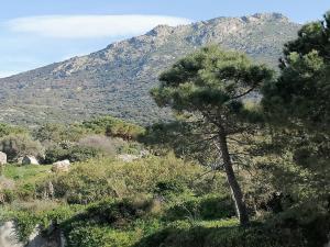 Haute-Corse belle appartement vue mer