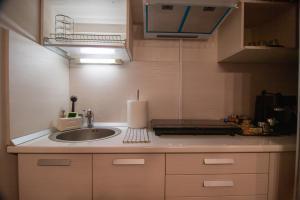 Lazar Central Apartment - Familii și Grupuri