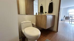 Loft, Bella Suiza, Luz Natural, 2 Baños, Clínica Santa fé