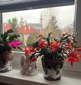 Apartament na Chrobrego