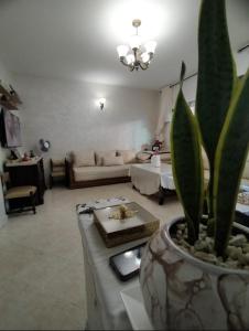 luxurious and quiet apartment