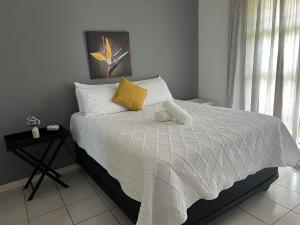 Alexander Guest house