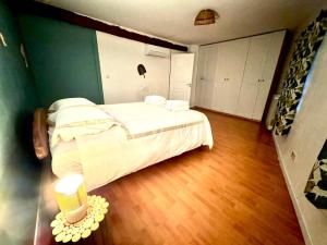 Charming house in Pezenas with garage and patio