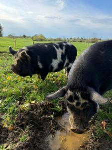 Le Charme du Perigord - chambre & table dhotes