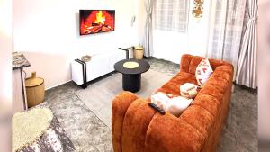 Cozy Burnt-Orange 1-Bedroom Apartment