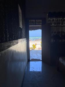 Kibwana Beach Bungalows & Diving