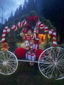 Pensiunea Floarea Munților