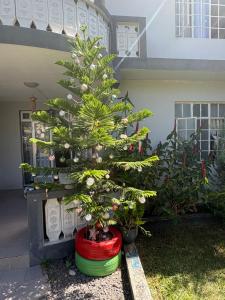 Authentic Mauritian Guest House Trou aux biches