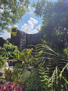 Tasana Garden Saraphi ทาซาน่าการ์เด้น สาขาสารภี