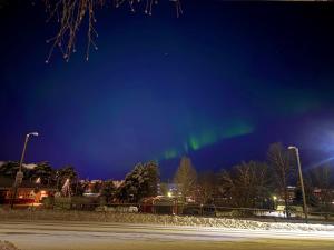 Rovaniemi City Apartment