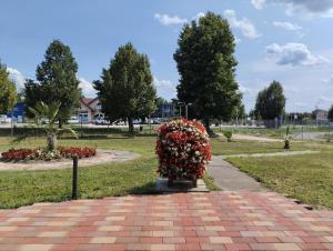 Begónia Vendégház