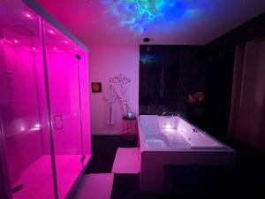 Suite 90m2 avec Jacuzzi jardin Proche Paris CDG