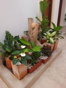 Hotel Abadias De Zapatoca