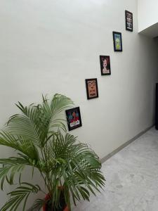 Fully Private 1BHK Couple Friendly - VibeStay